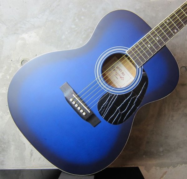 画像5: Honey Bee F-15M / Blue Sunburst (5)