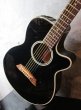 画像6: Takamine PT-106 GBB (6)