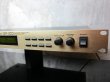 画像4: Roland GP-100 Digital Guitar PRE AMP Processor  (4)