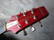 画像4: Aria Pro II PE-R80 1982 See-Thru Red (4)