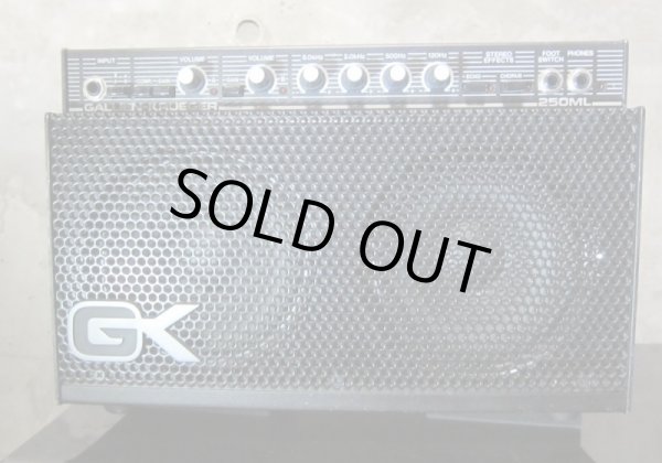 画像4: Gallien-Krueger 250ML  (4)