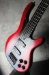 画像2: Moses Graphite Factory Custom / 5 String Bass  (2)