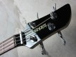 画像2: Fernandes FBR-40 / Blue Burst (2)