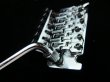 画像2: Floyd Rose Special Tremolo Bridge System / Chrome (2)