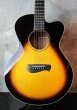 画像1: TACOMA Guitars EM-19CSB  (1)