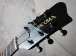 画像2: TACOMA Guitars EM-19CSB  (2)