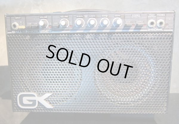 画像6: Gallien-Krueger 250ML  (6)