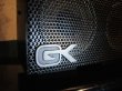 画像4: Gallien-Krueger 250ML  (4)