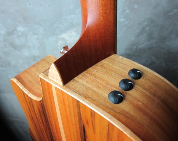 画像7: Taylor 410ce-LTD 2009 (7)