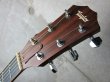 画像2: Taylor 410ce-LTD 2009 (2)