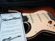 画像7: Hamiltone Stratocaster Set Neck Model Limited Edition "Stevie Ray Vaughan" Lefty (7)