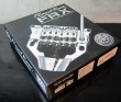 画像2: Floyd Rose FRX Antique Silver (2)