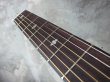 画像4: SHRED NECK DREADNECK - Acoustic DN6 Model - 6 Fret  (4)