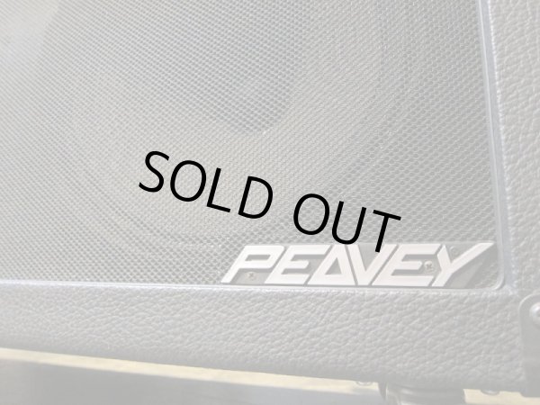 画像6: PEAVEY EVH 5150 212 COMBO "Vintage" (6)
