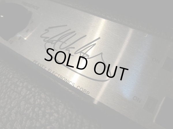 画像4: PEAVEY EVH 5150 212 COMBO "Vintage" (4)