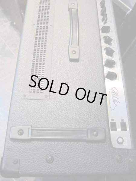 画像3: PEAVEY EVH 5150 212 COMBO "Vintage" (3)