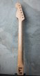 画像2: Warmoth Stratocaster Neck 22F Birdseye Maple  / Indian   Rosewood (2)