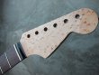 画像4: Warmoth Stratocaster Neck 22F Birdseye Maple  / Indian   Rosewood (4)
