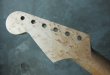 画像5: Warmoth Stratocaster Neck 22F Birdseye Maple  / Indian   Rosewood (5)