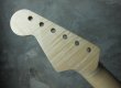 画像4: Warmoth Stratocaster Neck 22F Flame Maple (4)