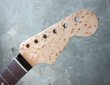 画像9: Warmoth Stratocaster Neck 22F Birdseye Maple  / Indian   Rosewood (9)