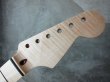 画像2: Warmoth Stratocaster Neck 22F Flame Maple (2)