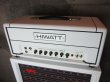 画像4: HIWATT Little D Rig "David Gilmour" Sig./ WEM Cabinet Set /  DRESS WHITE  (4)