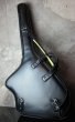 画像4: Soft Case for Steinberger Klein Model (4)