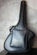 画像1: Soft Case for Steinberger Klein Model (1)