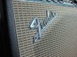 画像3: Fender Twin Reverb  / Silver face / Master Vol.  '72 　 (3)