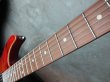 画像4: Tom Anderson Angel Ginger Burst with Binding  (4)