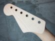 画像4: Warmoth Modern / Indian Rosewood / Maple Neck 22F /  STRATOCASTER®  (4)