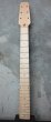 画像1: Warmoth Modern / Quartersawn Maple Neck 21F /  Snake Head (1)