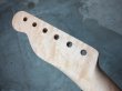 画像4: Warmoth Modern / Ebony / Birdseye Maple Neck 22F /  Telecaster® (4)