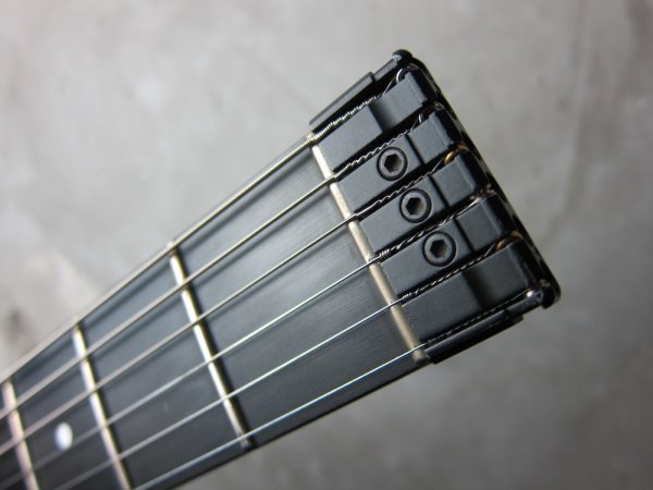 画像2: Steinberger GP-2T  (2)