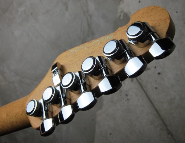 画像6: Michael Tuttle Dinky 54  / Bengal Burst  (6)