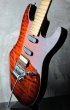 画像5: Michael Tuttle Dinky 54  / Bengal Burst  (5)