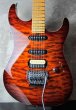 画像1: Michael Tuttle Dinky 54  / Bengal Burst  (1)