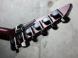 画像6: Jackson USA SL-1 Soloist / Red Ghost Flame / Flare Line-Fire Pattern  (6)