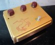 画像4: Klon CENTAUR Gold Case Short Tail  (4)