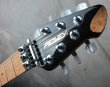 画像2: Peavey USA EVH Wolfgang Standard Tobacco Sunburst  (2)