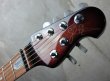 画像2: Music Man BFR JP6  John Petrucci Sunburst   (2)