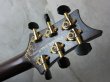 画像5: PRS Custom 22 /  Fire Red / Private Stock  (5)