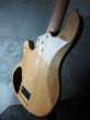 画像7: Lakland SL55-94 Deluxe Natural Translucent  (7)