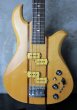 画像1: B.C. Rich Eagle Bass '79 Brazilian Rosewood (1)