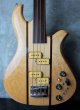 画像1: B.C. Rich Eagle Bass Fretless '81 (1)