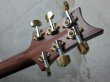 画像5: Paul Reed Smith "Artist Package" McCarty Bonnie Pink / 1 pc Quilted Maple Top  (5)