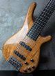 画像8: Tune TBC-5 Exotic Spalted Maple Sp (8)