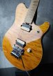 画像4: Music Man EVH Trans Gold (4)