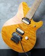 画像8: Music Man EVH Trans Gold (8)